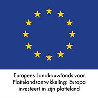 Demo logo